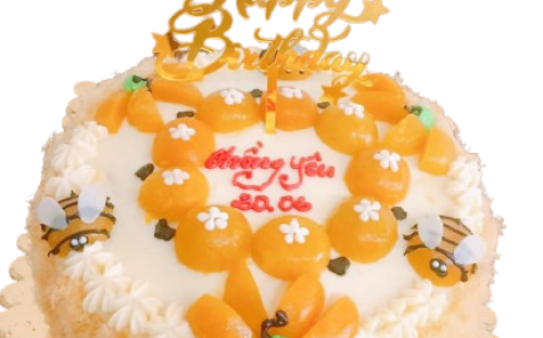 Sinh Nhật & Các Dịp Đặc Biệt Sinh Nhật & Các Dịp Đặc Biệt