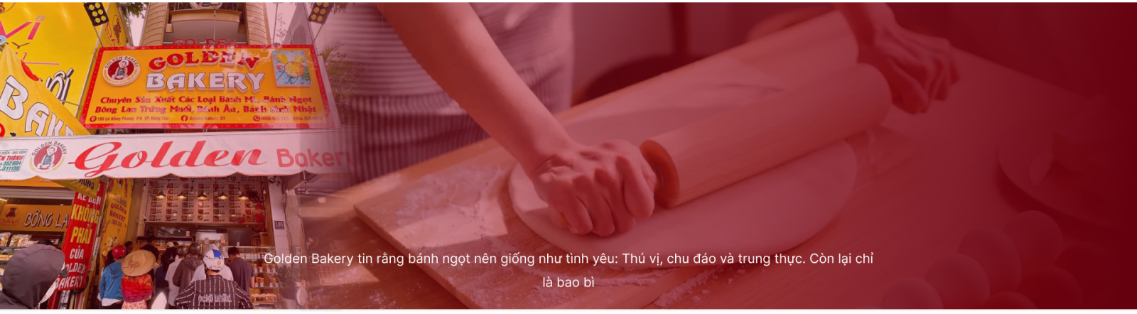 Sáng Lập 2015